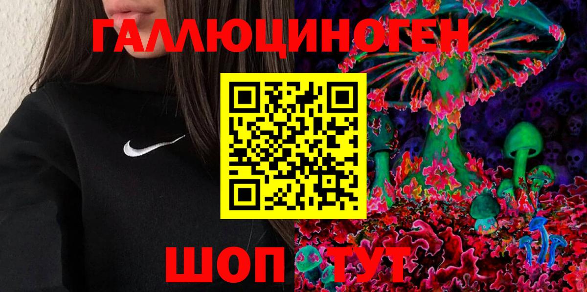 Псилоцибиновые грибы Psilocybe Вязники